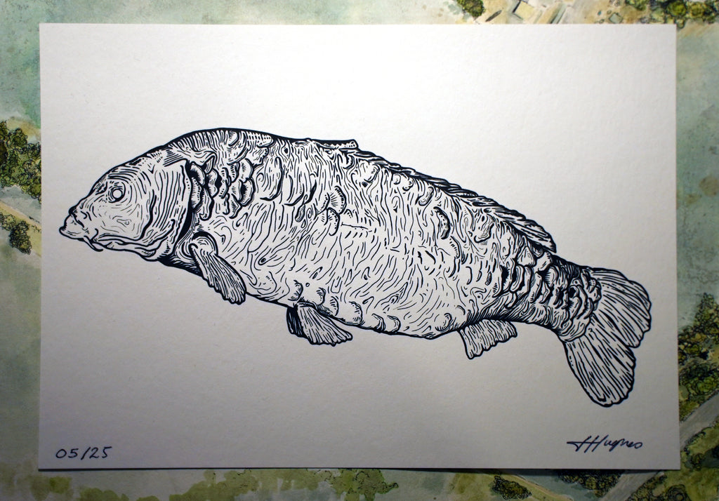 Trippy Leney Carp Drawing - Limited Edition Print /25