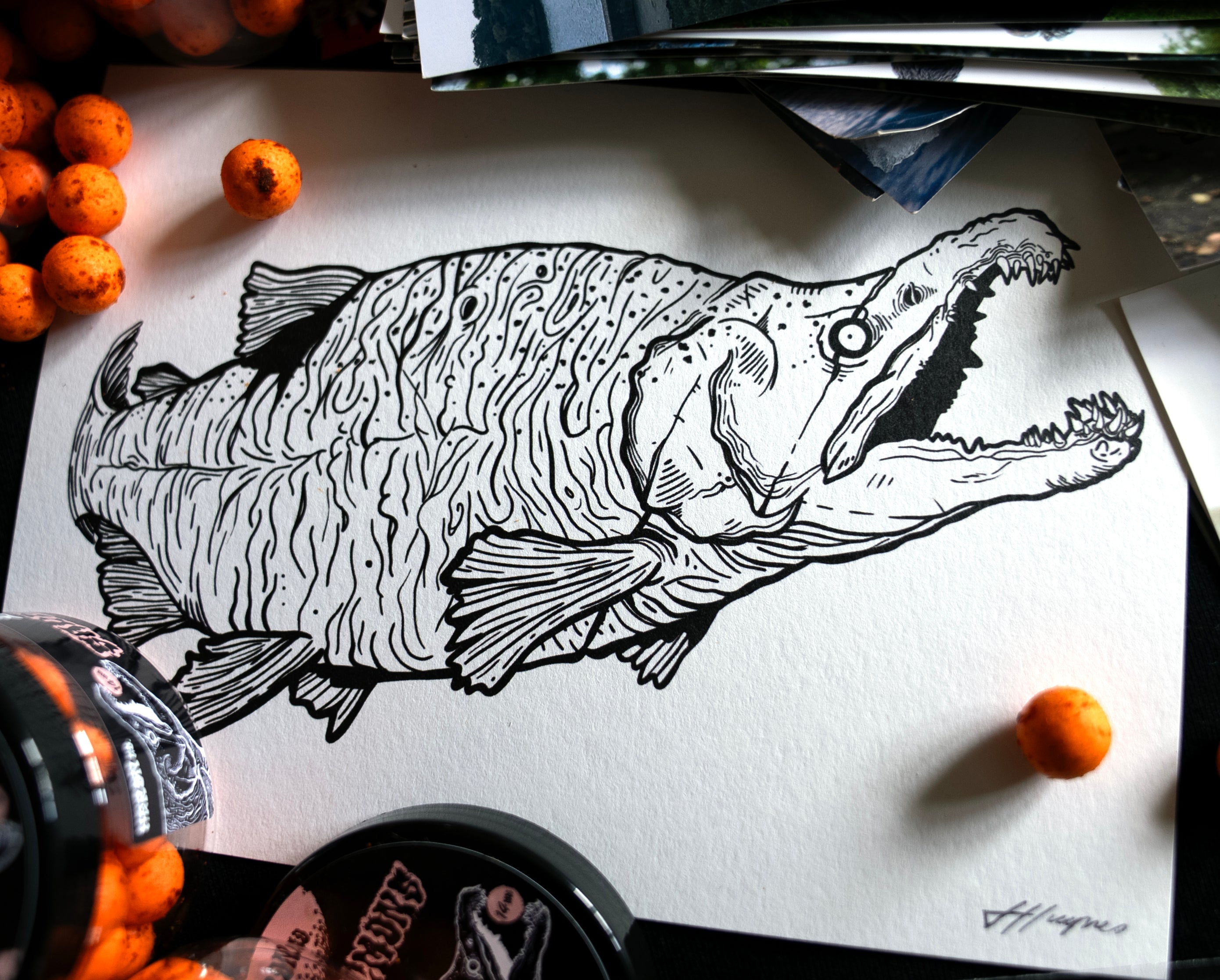DIRTY SALMON- A5 Limited Edition Sockeye Salmon Art Print