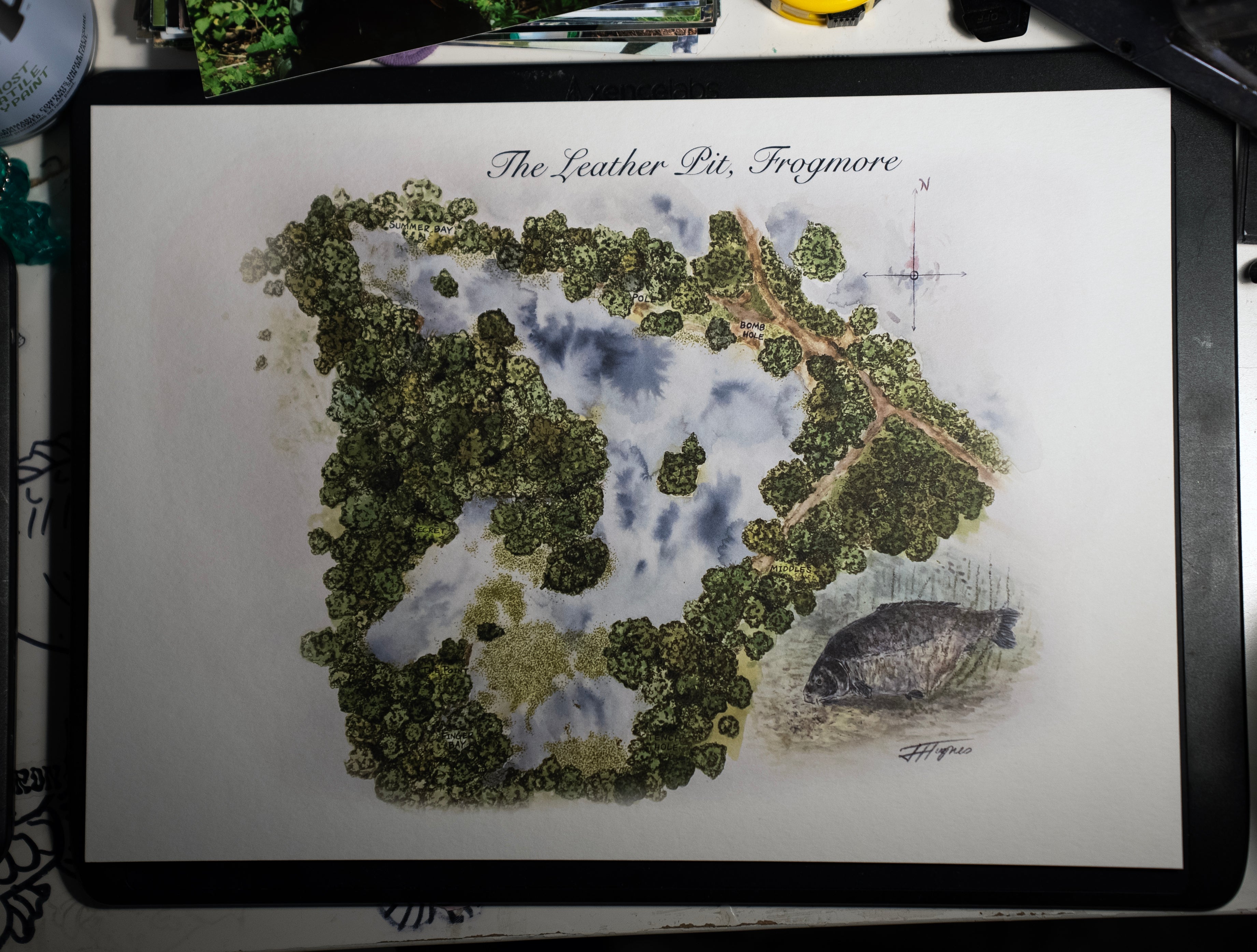 Frogmore (Toadless) - A4 Print