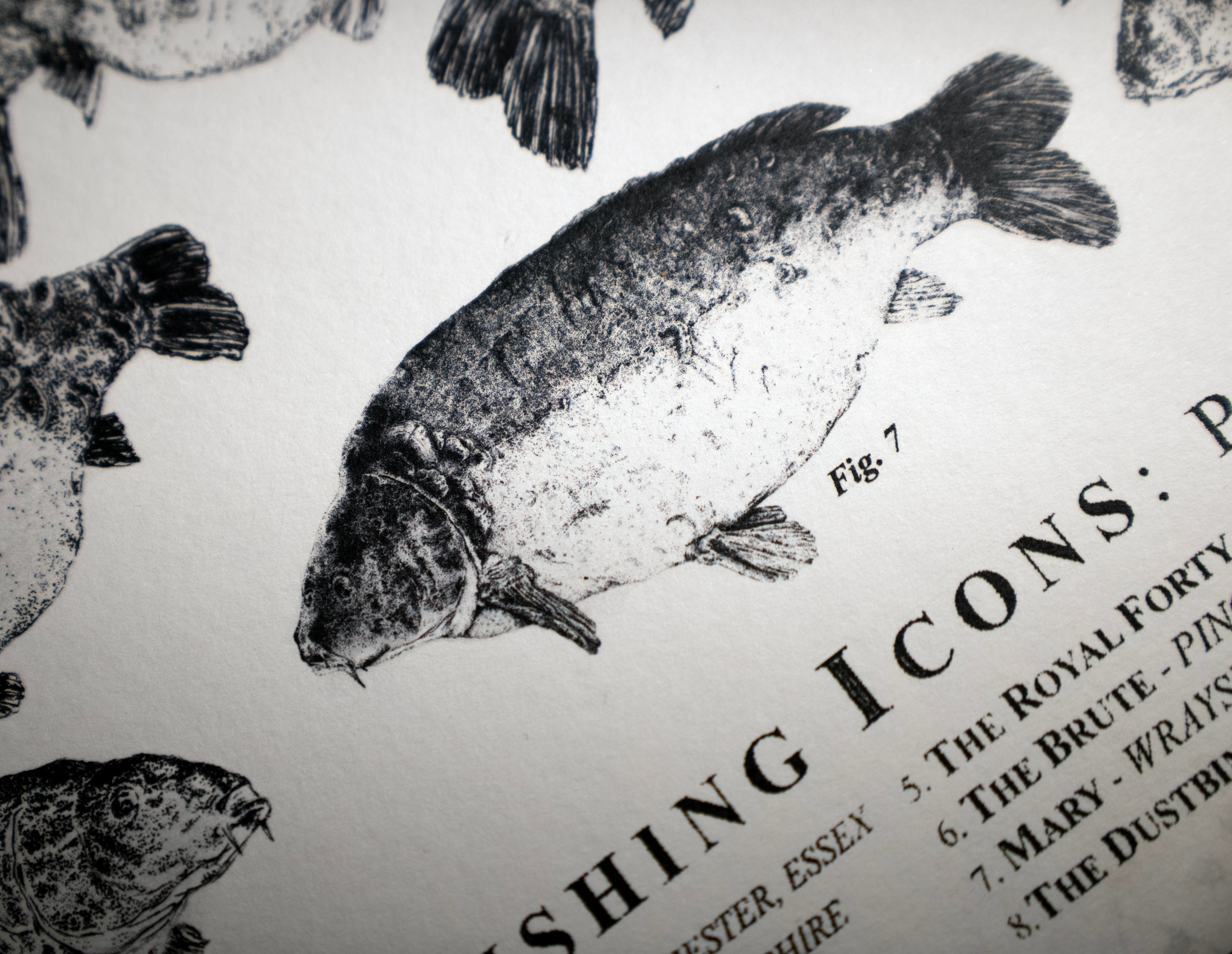 Carp Fishing Icons Part 1 -  A4 Print